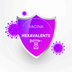 Hexavalente (Acelular)